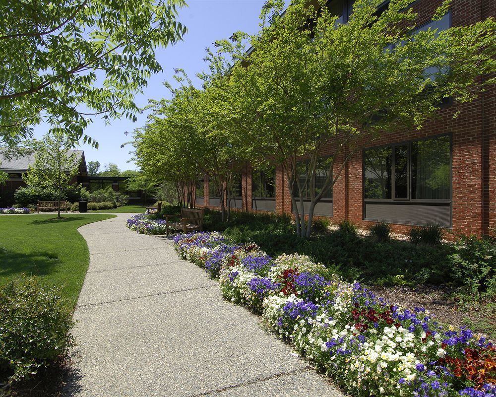 Williamsburg Woodlands Hotel & Suites, An Official Colonial Williamsburg Hotel Exteriör bild